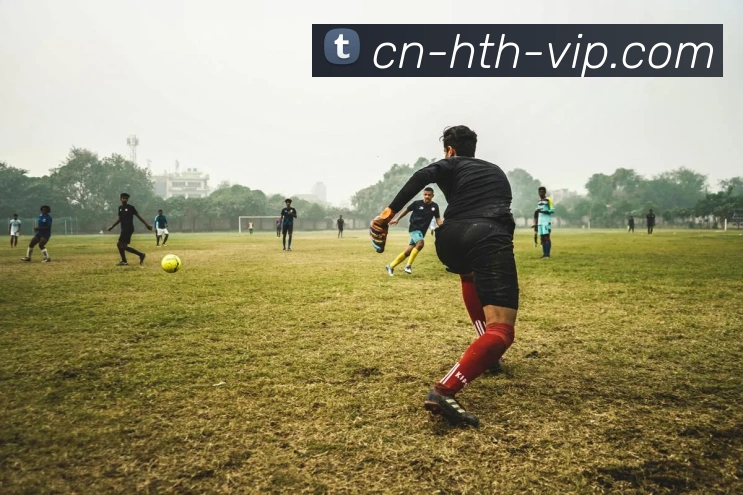 多媒体互动体验